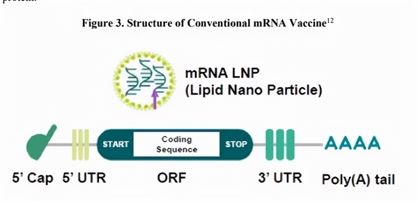 新冠疫苗mrna可逆转录为dna转基因人要来了吗