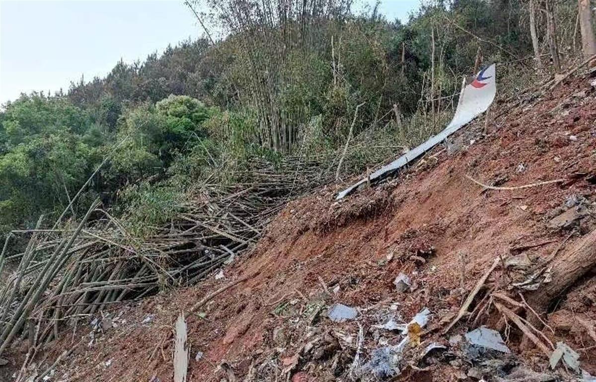 东航失事飞机在事故现场的残骸(图源:中国新闻网.jpeg