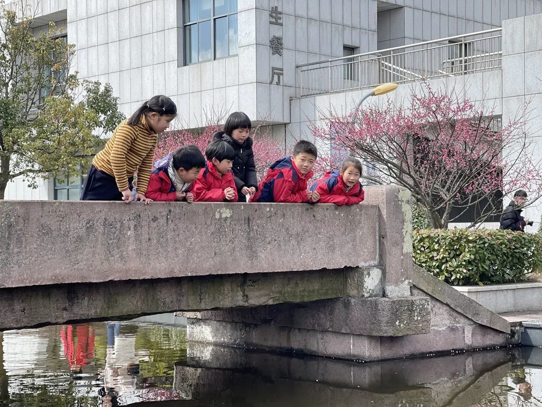 奉化奉化高级中学▼锦溪书院▼奉化区第一实验幼儿园▼慈溪文锦书院▼