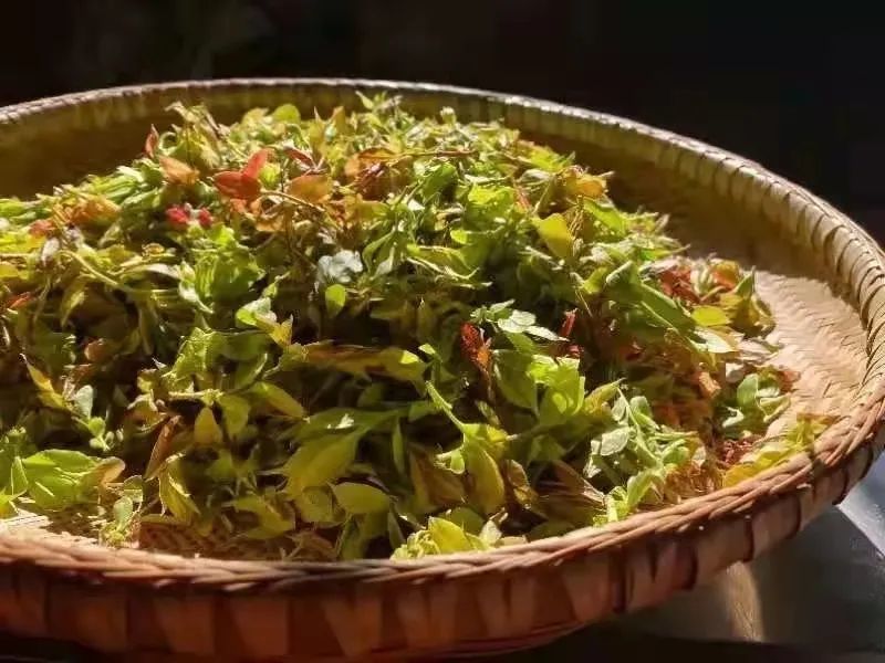 在清明节前一天,家里就准备好祭墓的牲礼及纸球,纸钱等,置在一层一层