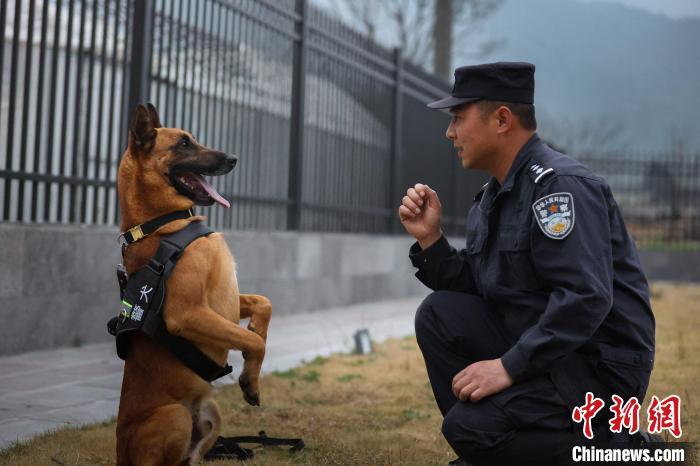 云南民警从事警犬技术工作16载热爱付出传承