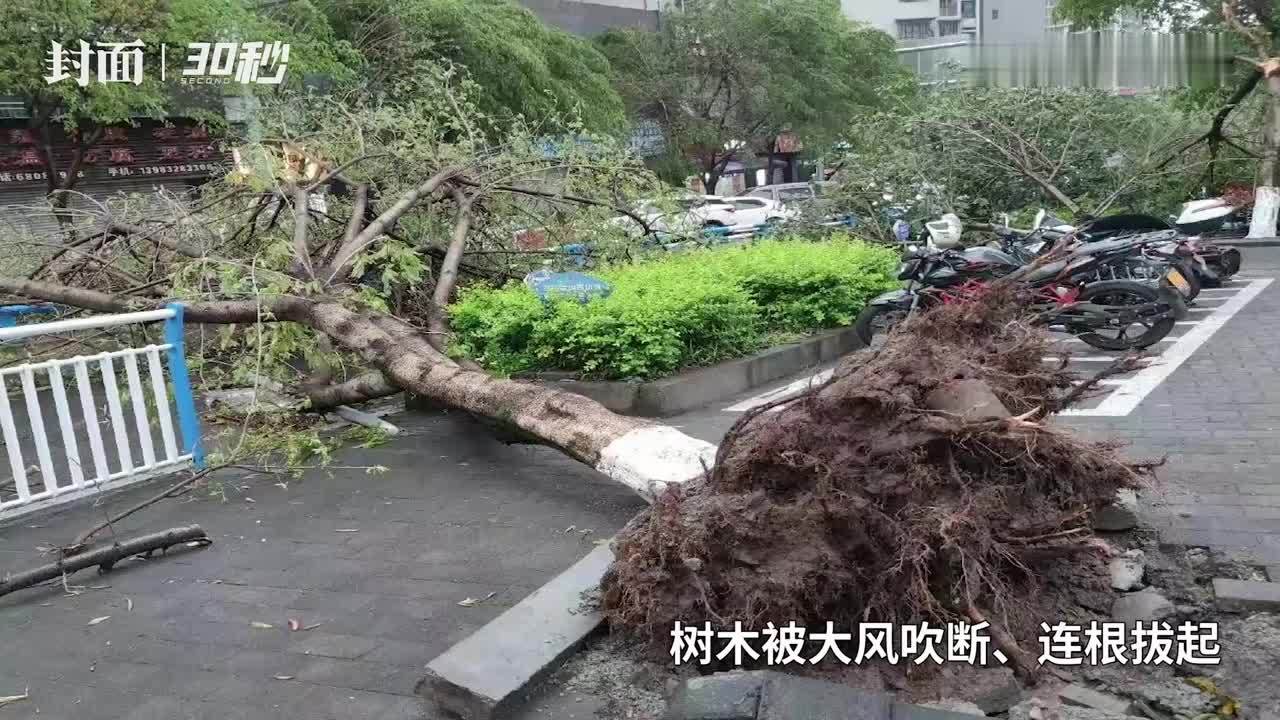 30秒12日凌晨大风吹飞人重庆市气象台风力达11级