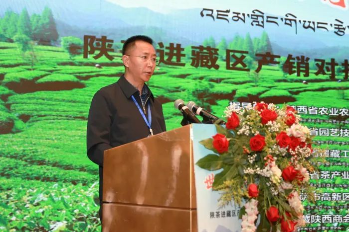 陕茶进藏产销对接会暨阿里地区招商引资活动在拉萨举办