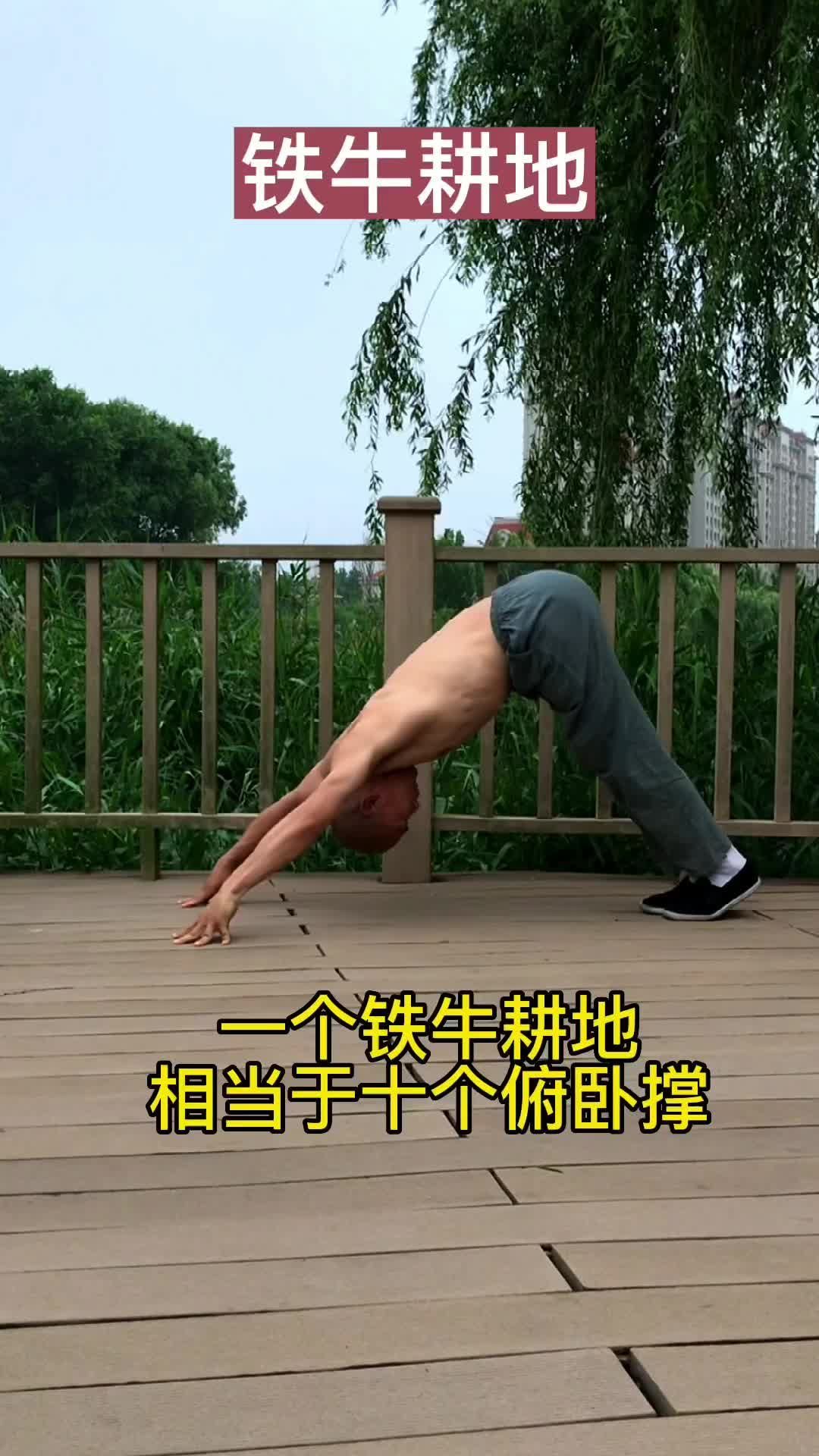 铁牛耕地难度有点大刚开始可以膝盖跪地做循序渐进居家锻炼铁牛耕地