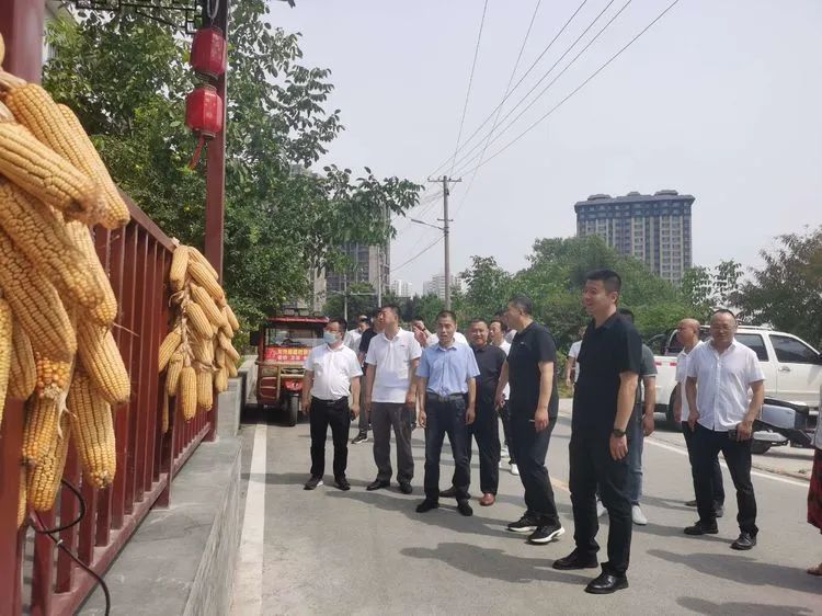 西安市高陵区泾渭街道召开干部人才下乡村工作座谈会