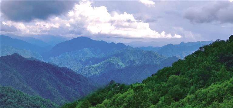 秦岭商洛这样守护