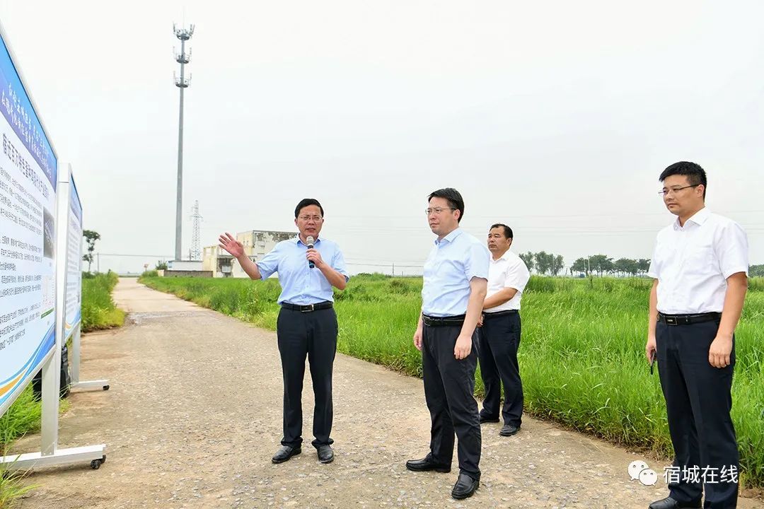 宿迁宿城区委书记陈伟推进现代农业产业发展中实现农民增收致富