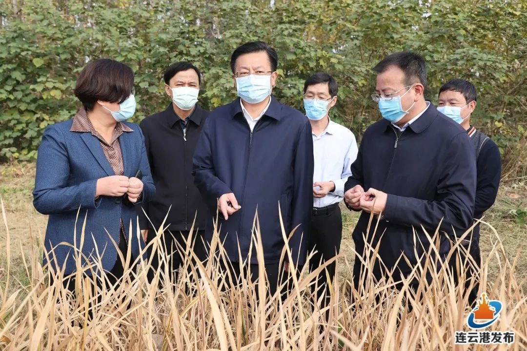 连云港市委书记马士光守牢底线确保粮食丰产丰收