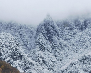 -4℃！雪花正飘落湖北西部