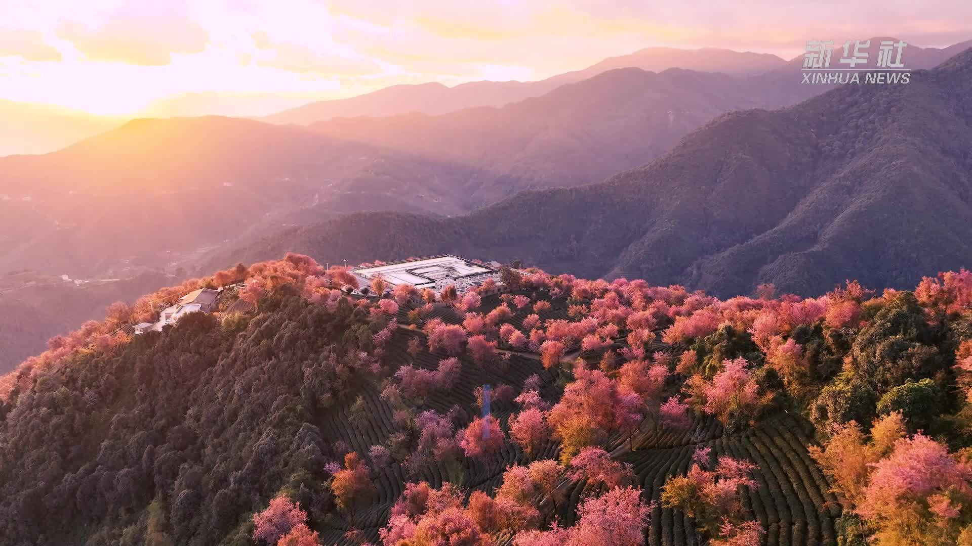 游客中心展厅