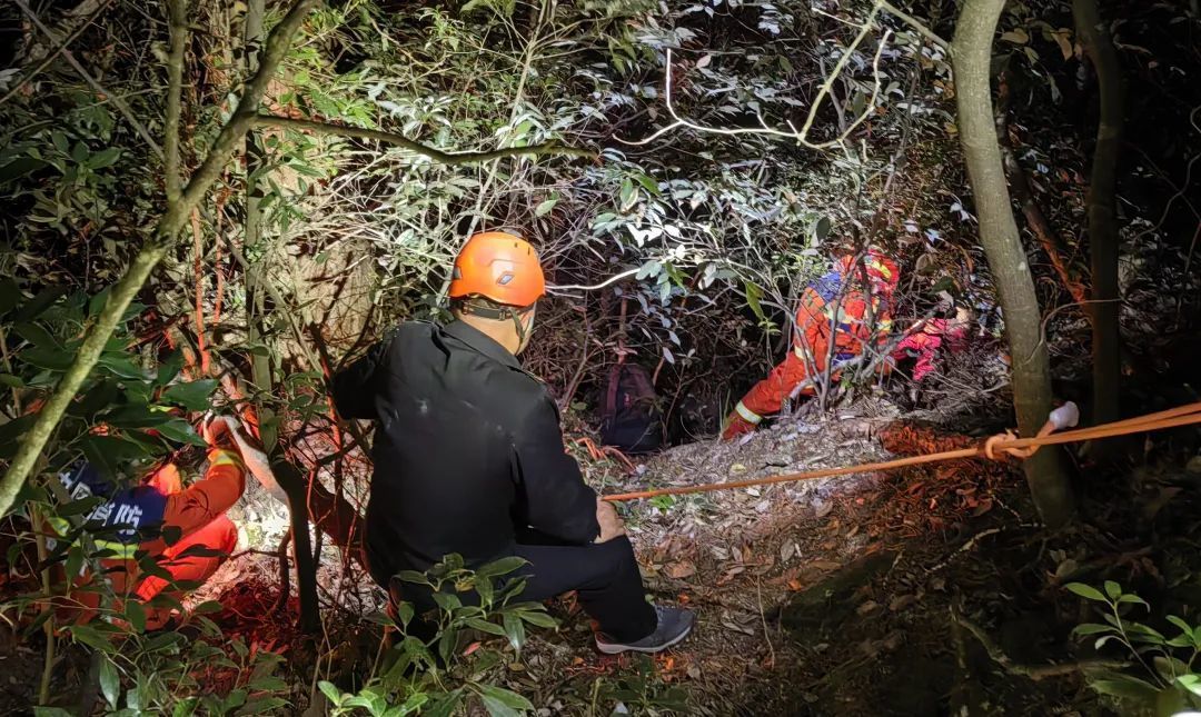 “野游”进山被困，游客李某某获救后被黄山警方处罚！