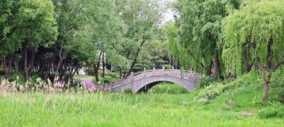 日照：公园初夏焕新颜 居民乐享绿色生活