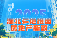 2025湖北多地房地产新政