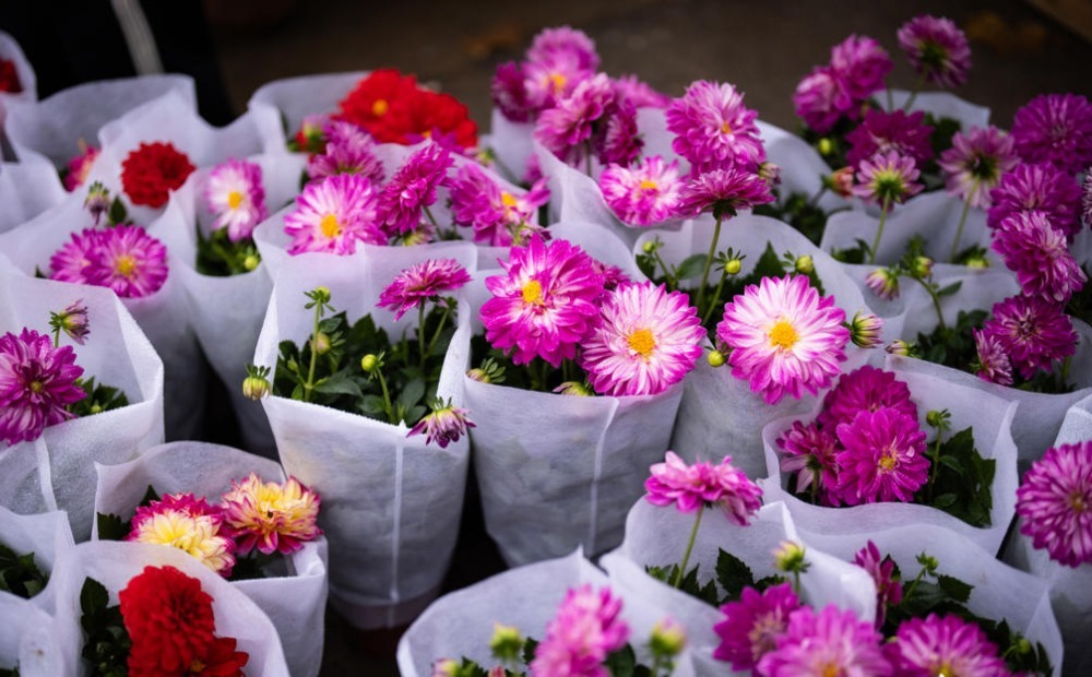 你可曾見過曹洼大集上的這些“時尚單品”