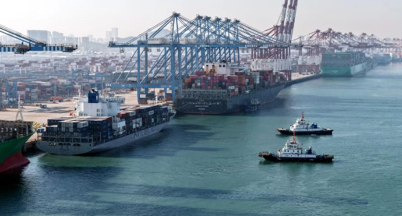 山东港口青岛港：巨轮频靠作业忙