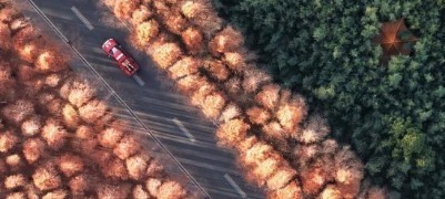 	航拍初冬日照：金沙碧海彩叶绘景