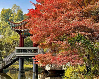 賞“楓”情萬種 觀層林盡染