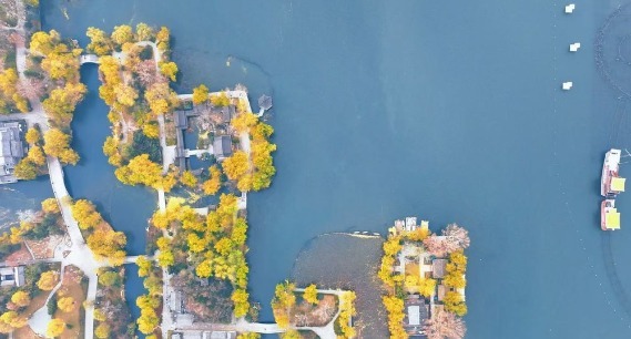 低温下的大明湖，限定版“梦幻童话”正在上演   