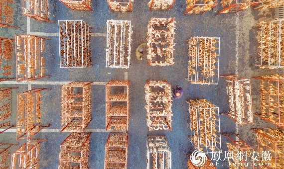 安徽安庆：腊味飘香“晒”出致富路