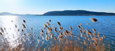 东平旧县乡这帧湖水蓝 美成限定款壁纸