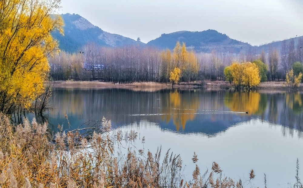 枣庄库区冬景如画