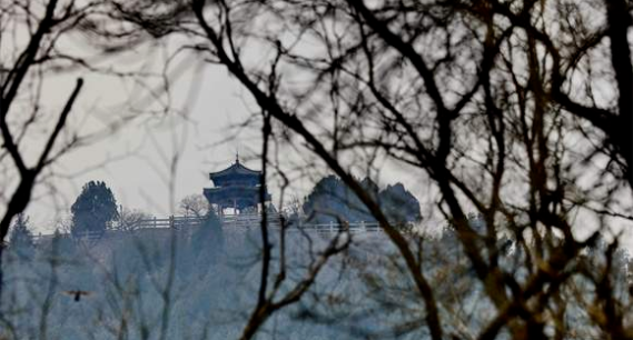 冬日千佛山：山寺凉亭入画来