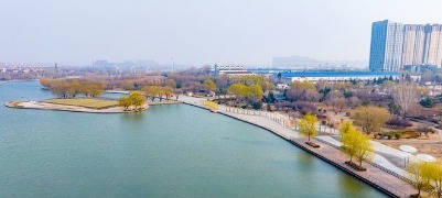 春风拂岱庙 红墙映花影