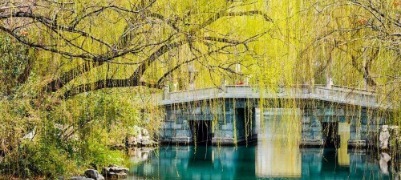 大明湖柳绿天蓝春意浓，汉服少女打卡定格春日美景