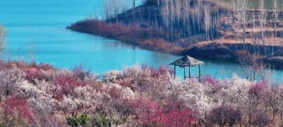 春天一定要去一次济宁！踏春、赏花每一处都好治愈