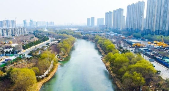 万条垂下绿丝绦 济南小清河尽染春意浓 