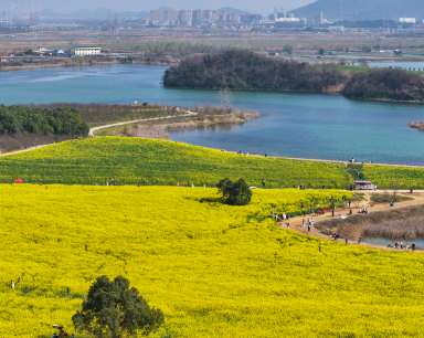 荒地变身“莫奈油画” 武汉版“赛里木湖”上线