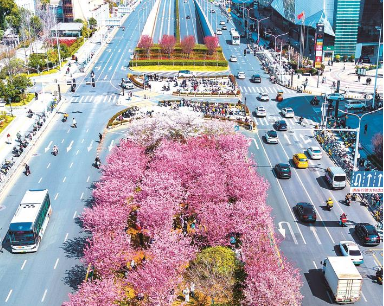 荆楚大地花满蹊 千朵万朵压枝低