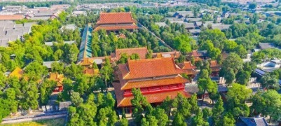 邂逅青绿，来济宁“森”呼吸