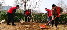 凤凰网山东公益