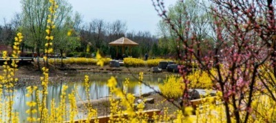 花花花人花花花！烟台的春天被花包围了