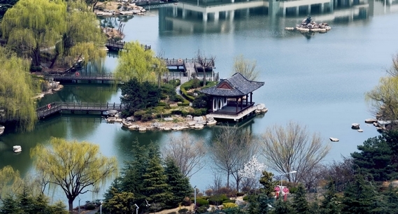 枣庄：春日龟山风光好 湖光亭台入画来