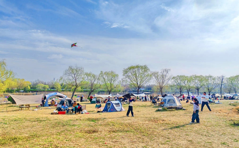 聊城：徒骇河畔春正好 乐享露营好时光