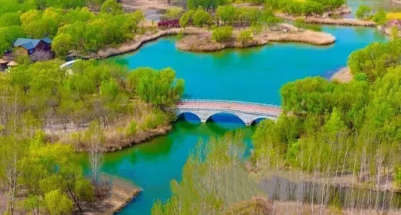 泉城晴空万里 济西湿地焕生机