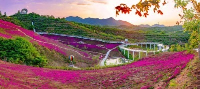 解锁淄博神仙玩法！这座小城藏着太多惊喜