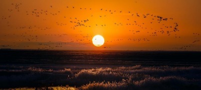 在东营，看落日，绝美！