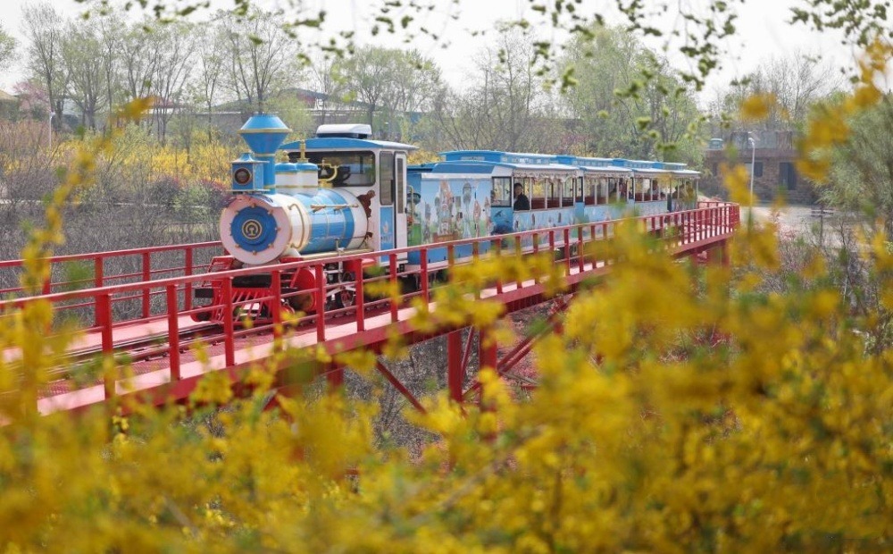 山东沂南：清明假期乡村旅游持续升温 