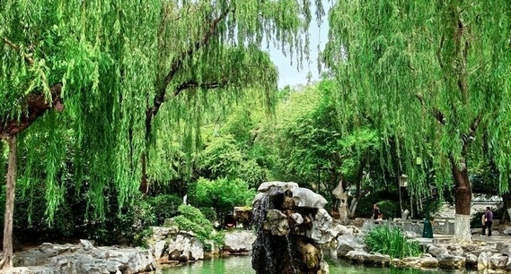249天+29米以上持续天数：济南月牙泉与趵突泉双双刷新纪录
