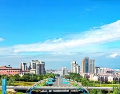 划重点！青岛市委书记的“自贸片区行程”
