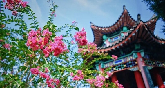 夏花未谢秋正好，大明湖得月亭繁花似锦