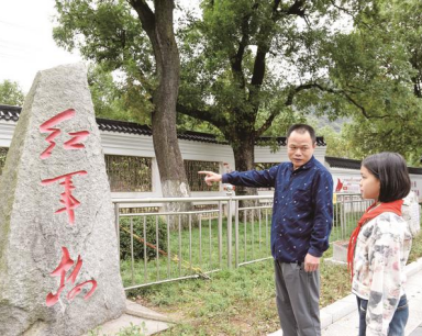 探访长征路上红军树