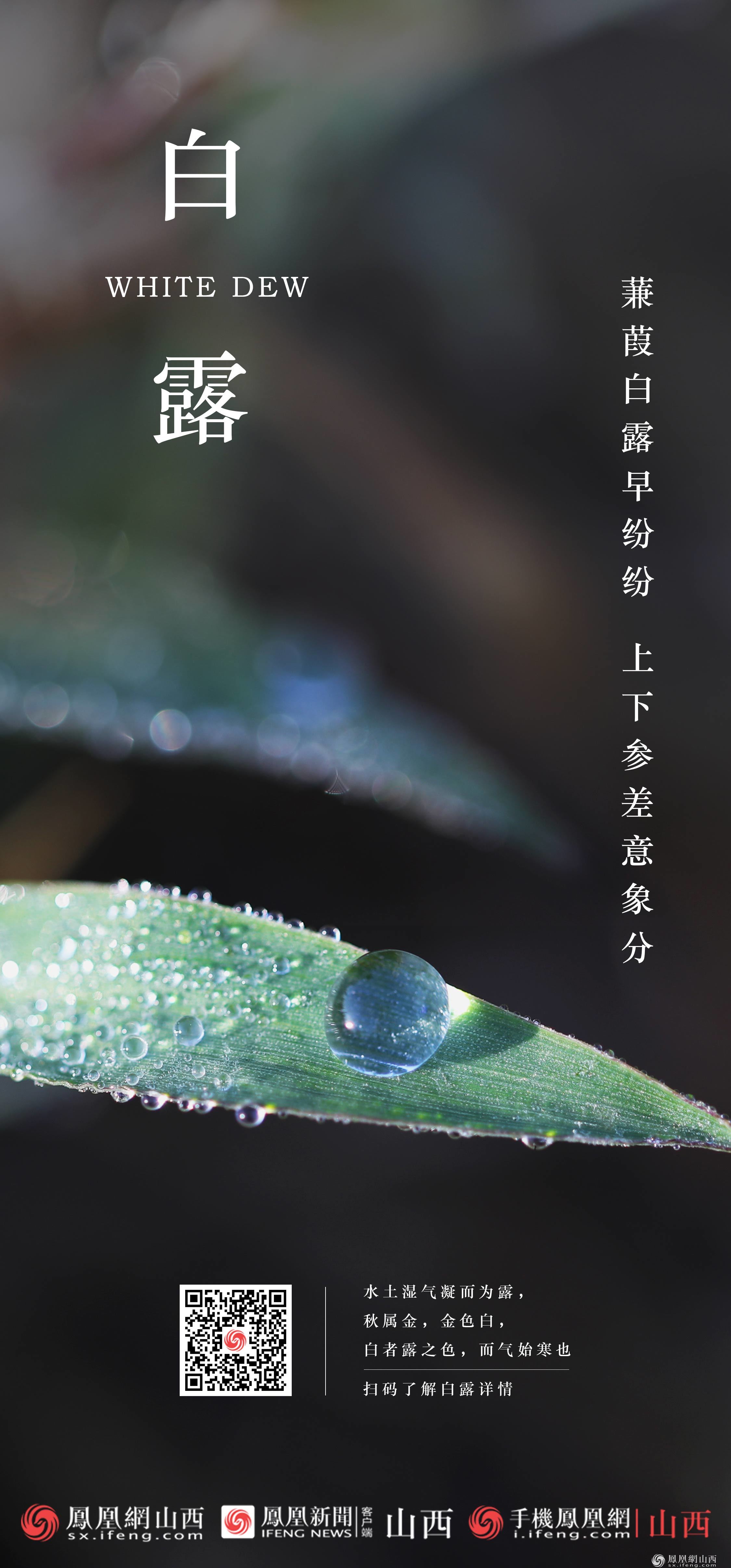 白露