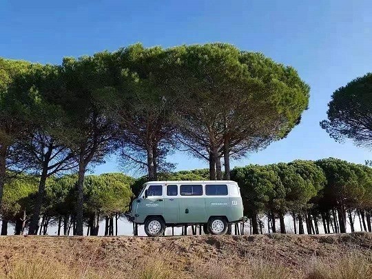 超低价直降到底瓦滋旅行者国六现车