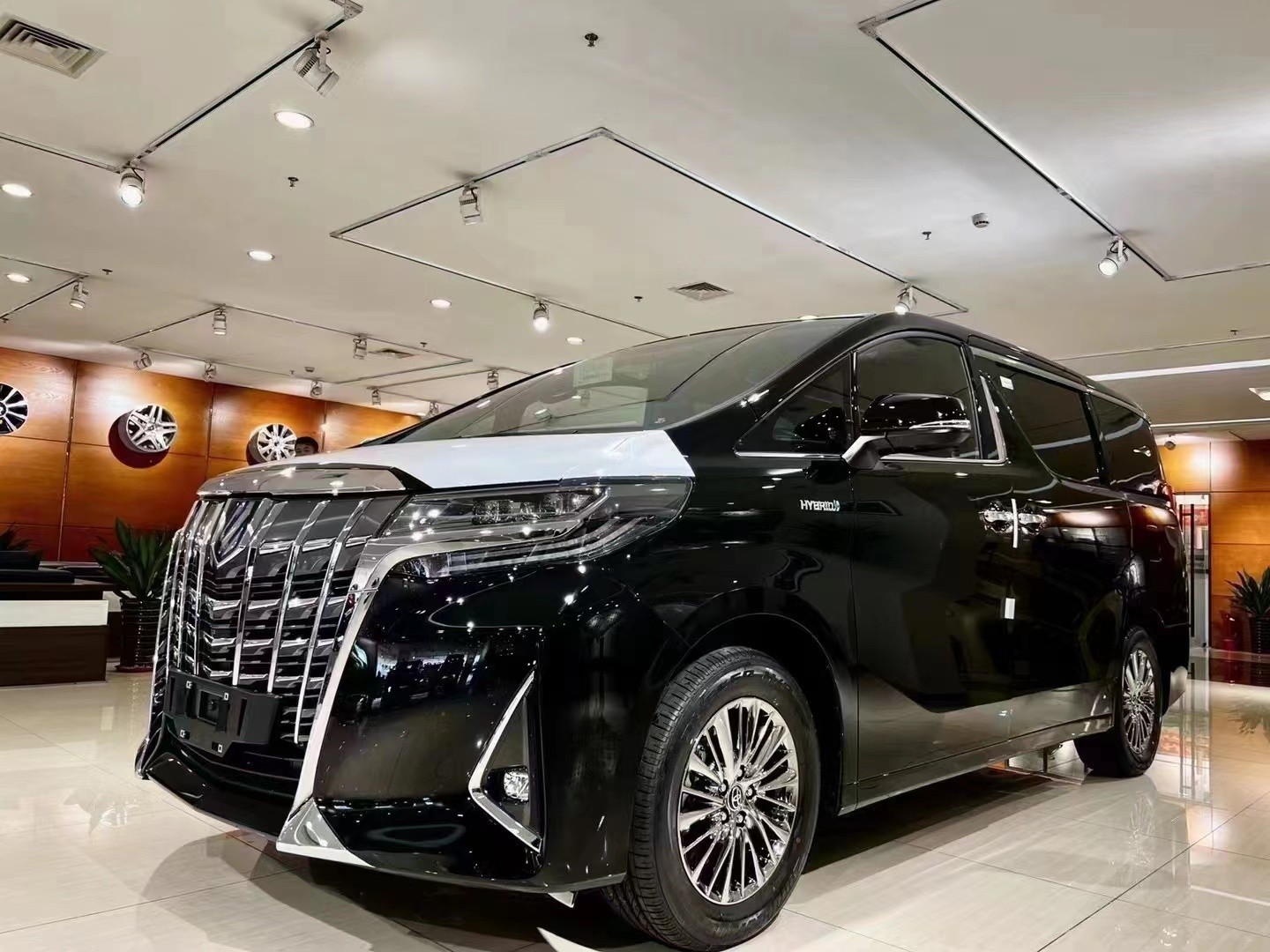 2021款丰田埃尔法专属alphard的徽标,镀铬装饰条与led前大灯,倒梯形