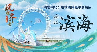凤观齐鲁2020丨潍坊滨海