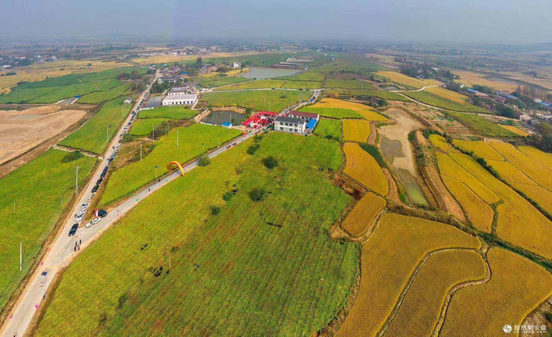 庐江县石头镇举办消费扶贫暨合肥庐江第二届瓜蒌采摘节